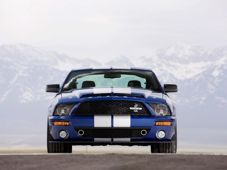  Shelby GT500 KR 40th Anniversary 2008 года  (фото 27 из 31)